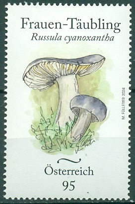 Австрия, 2024, Грибы,1 марка