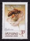 Украина _, 1999, Пчеловодство, Пчелы, Насекомые, 1 марка