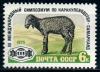 СССР, 1975, №4507, Симпозиум по каракулеводству, 1 марка