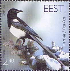 Эстония, 2003, Сорока, 1 марка