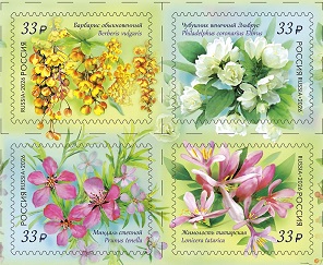 Россия, 2026, Кустарники, квартблок Россия, 2026, Кустарники, квартблок