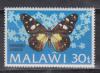 Малави 1973, Бабочка Eufaedra Zaddachi, 1 марка