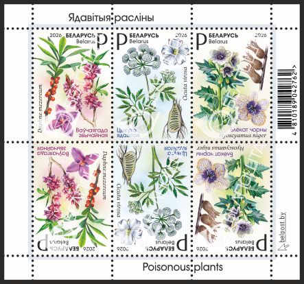 Растения коллективный лист.jpg