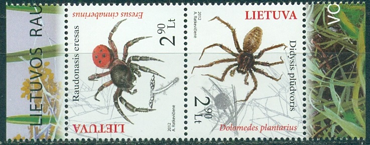 2012 Пауки тет-беш.jpg 2012 Пауки тет-беш.jpg