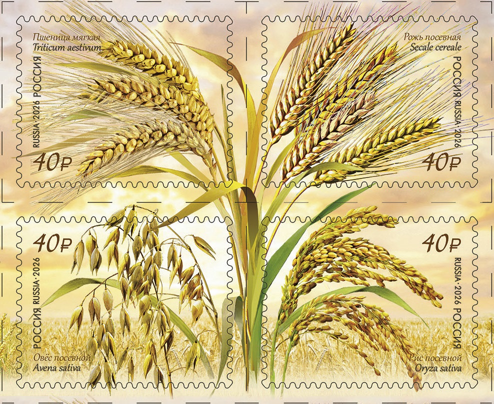 Флора квартблок.jpg