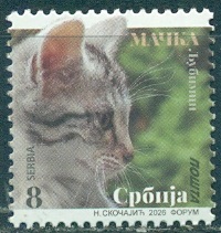 2026 Сербия Киска.jpg