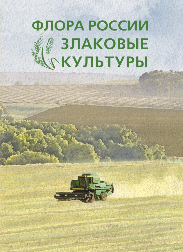 Злаковые 1.jpg