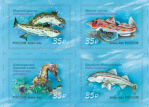 Россия, 2026, Рыбы Чёрного Моря, квартблок