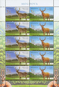 Молдова. Олени, 2008, малый лист, совместный с Казахстаном Молдова. Олени, 2008, малый лист, совместный с Казахстаном