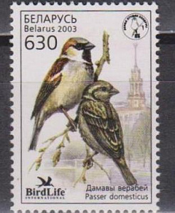 Беларусь, 2003, Птица Года Воробей, 1 марка