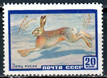 СССР, 1960, №2403, Заяц, 1 марка...