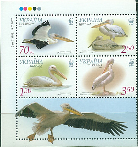 Украина, 2007, WWF, Птицы, Розовый Пеликан, 4 марки сцепка c купоном Украина, 2007, WWF, Птицы, Розовый Пеликан, 4 марки сцепка c купоном